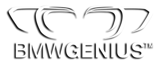 BMW Genius at Moses BMW in St. Albans WV